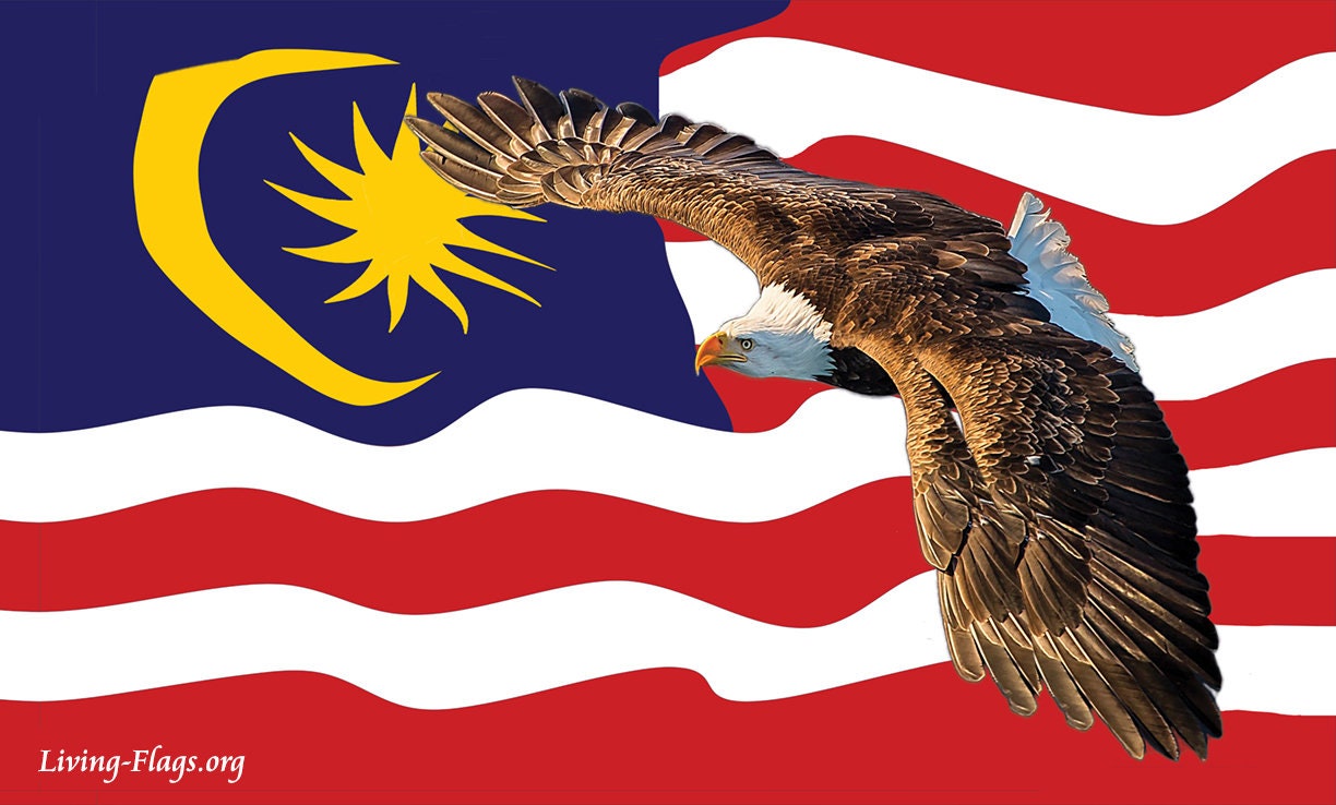 Buy 1 Get 1 Free - Arise ! Silk Printed Worship Flags