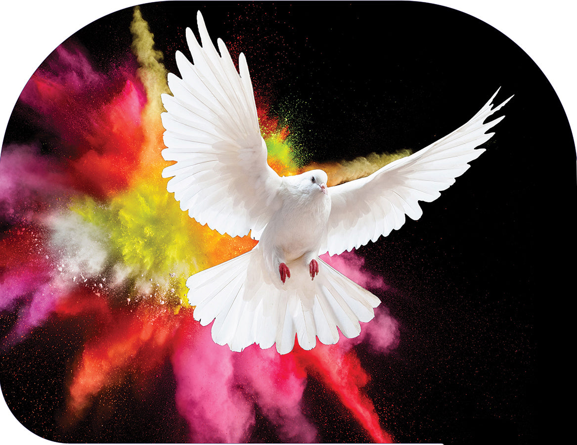 Miracle, Signs & Wonder – Explosion Angelic Wing Worship Flags – Wxlq ...