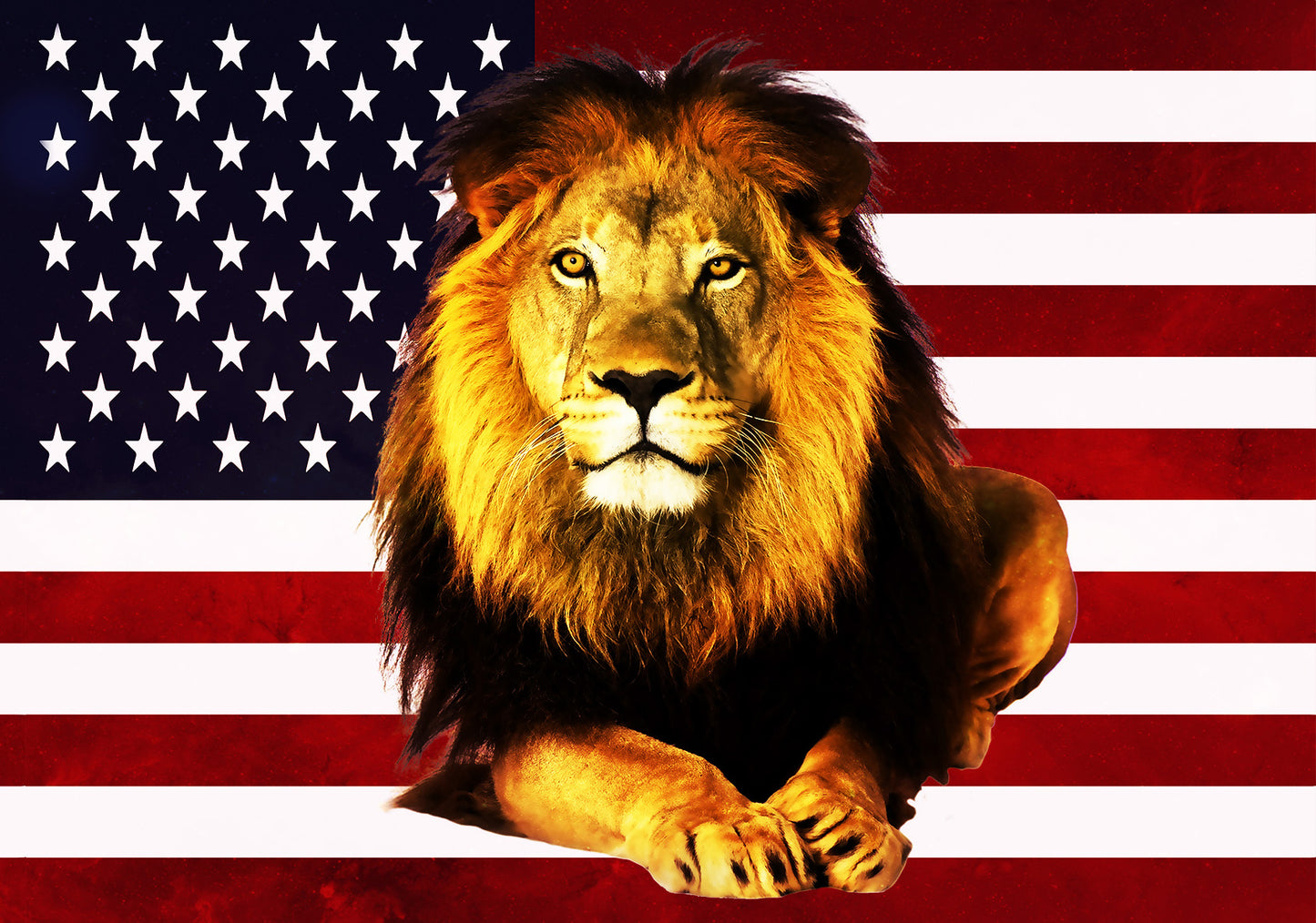 THE KING of America-Drapeau en soie imprimée- (PRE-RELEASE)