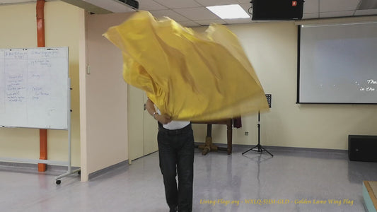 WXLL-Quill Liquefy Metal 24k Gold Wing Flag  - 40" Flexible Rod